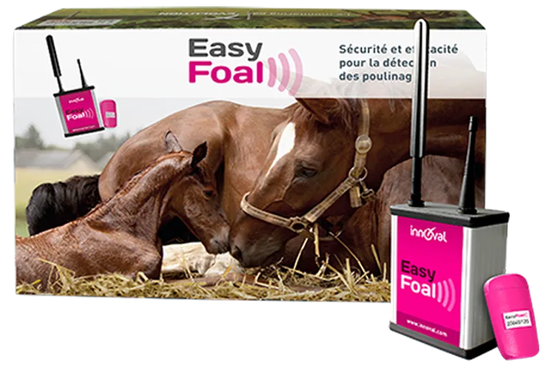 EasyFoal