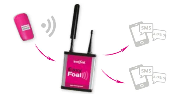 easy foal sms.png