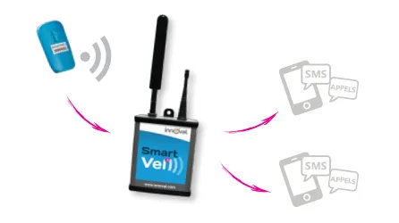 smartvel sms.png