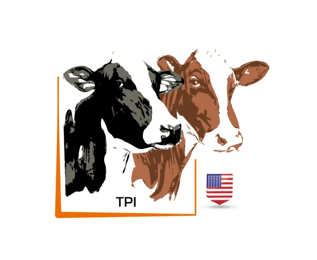TPI