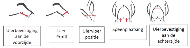 het exterieur.png