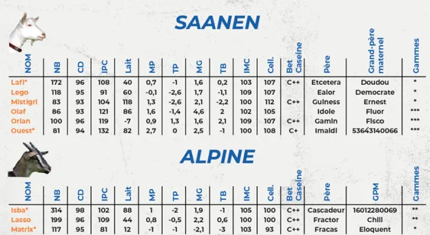 Onze bokken interpreteren selectie.png